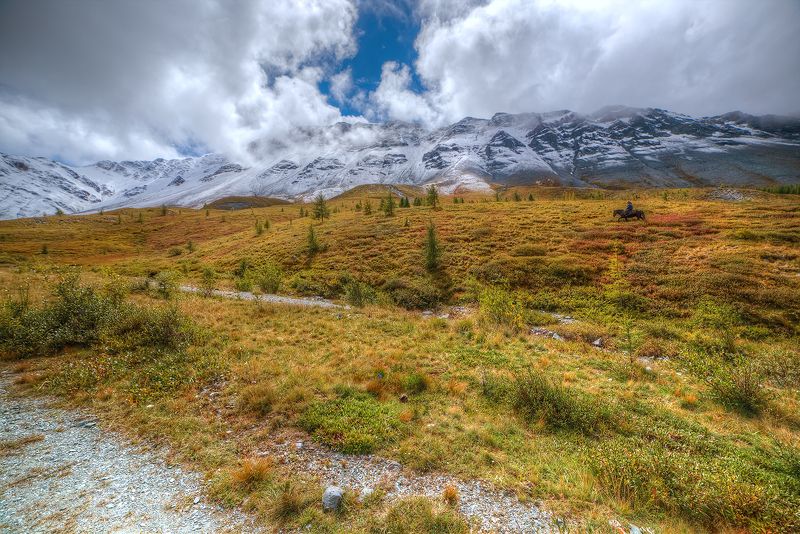 Прогулка утром фото превью