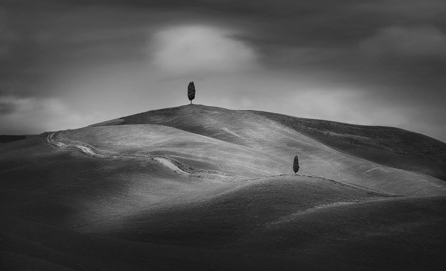 , Тодор Танев