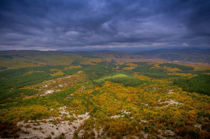 осень фото превью