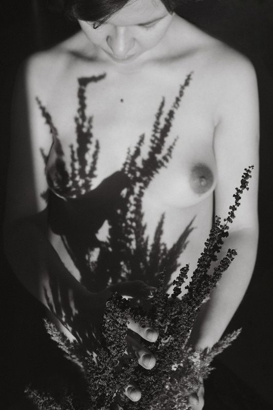 **** фото превью