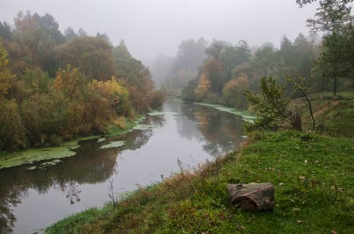 Туманное утро на Снежети