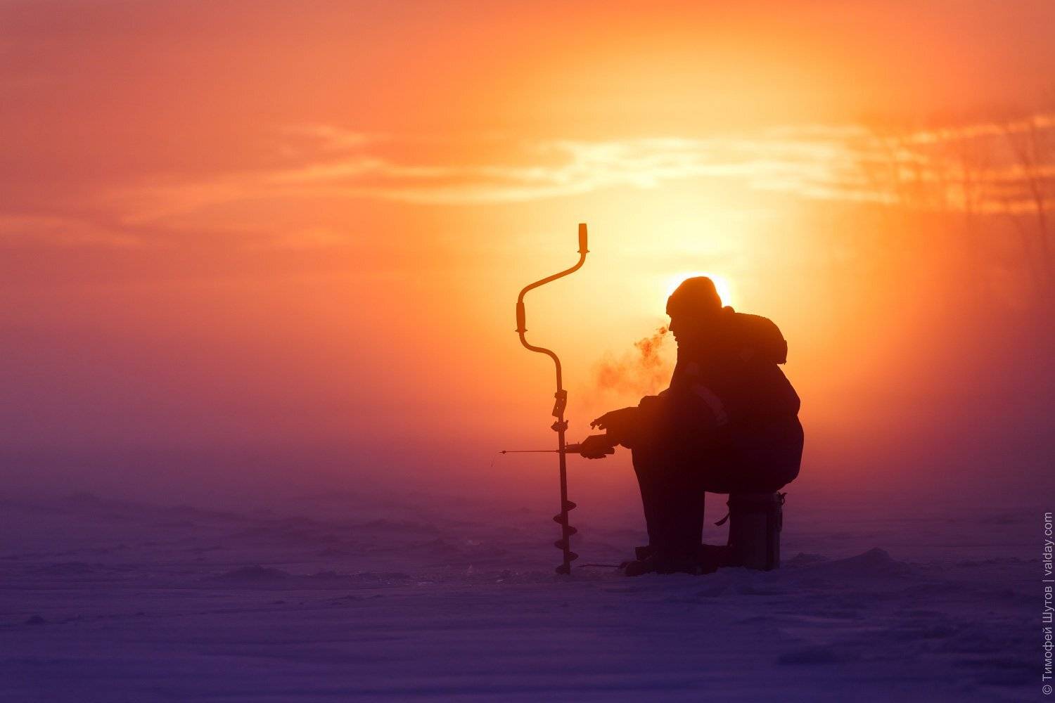 валдай, Тимофей Шутов