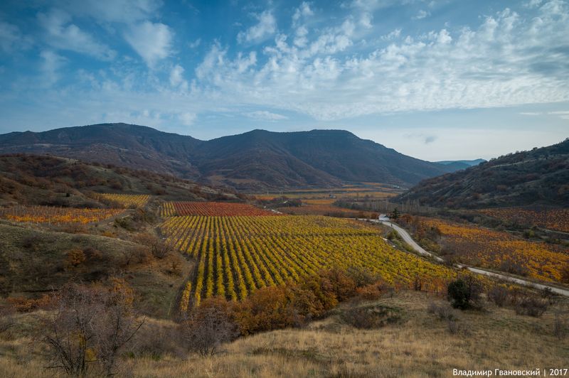 Крымская Тоскана фото превью