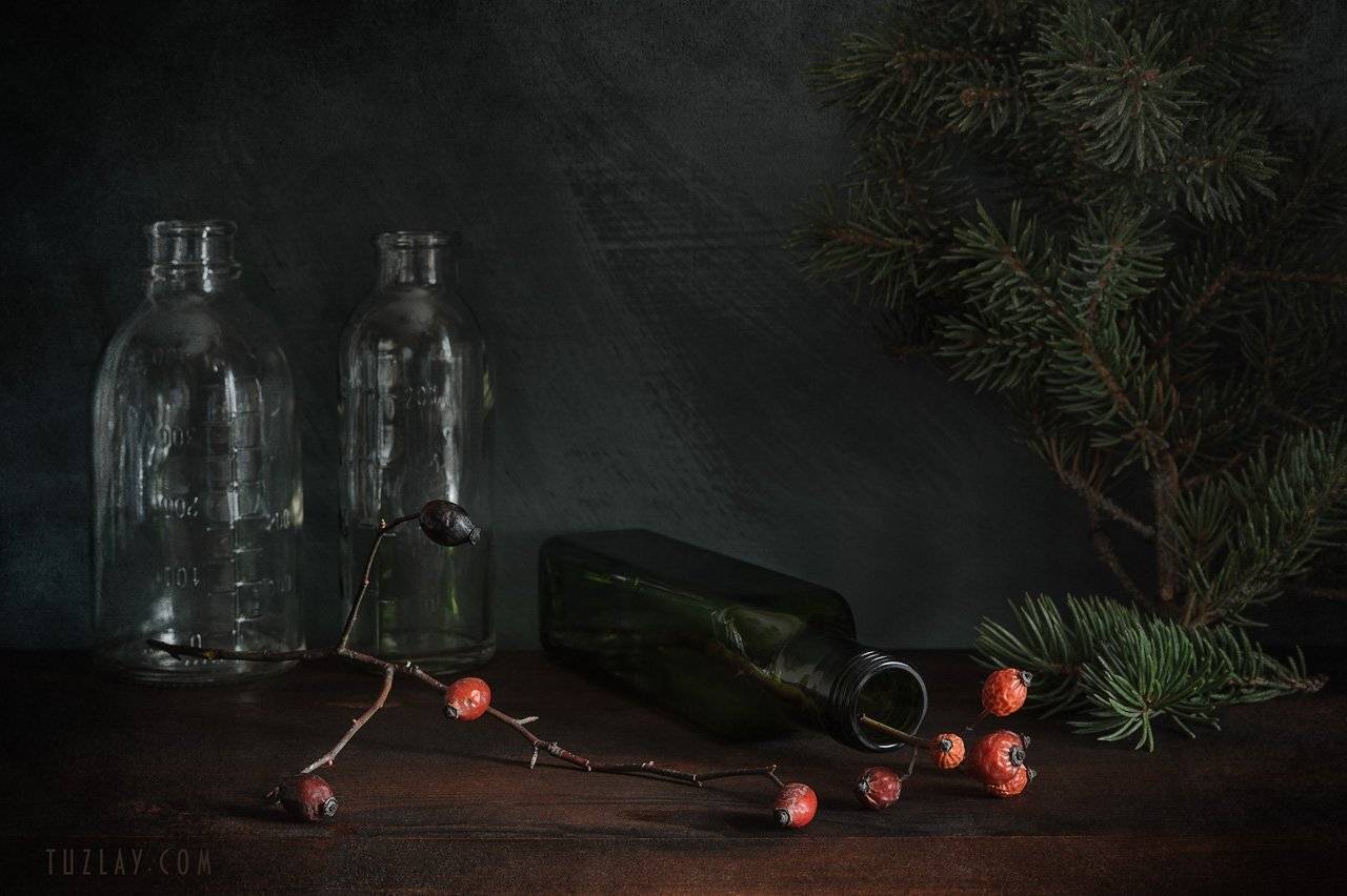 шиповник, ель, бутылки, Владимир Тузлай