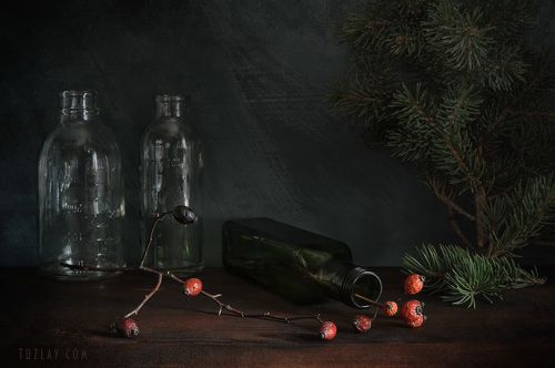 С шиповником и веткой ели