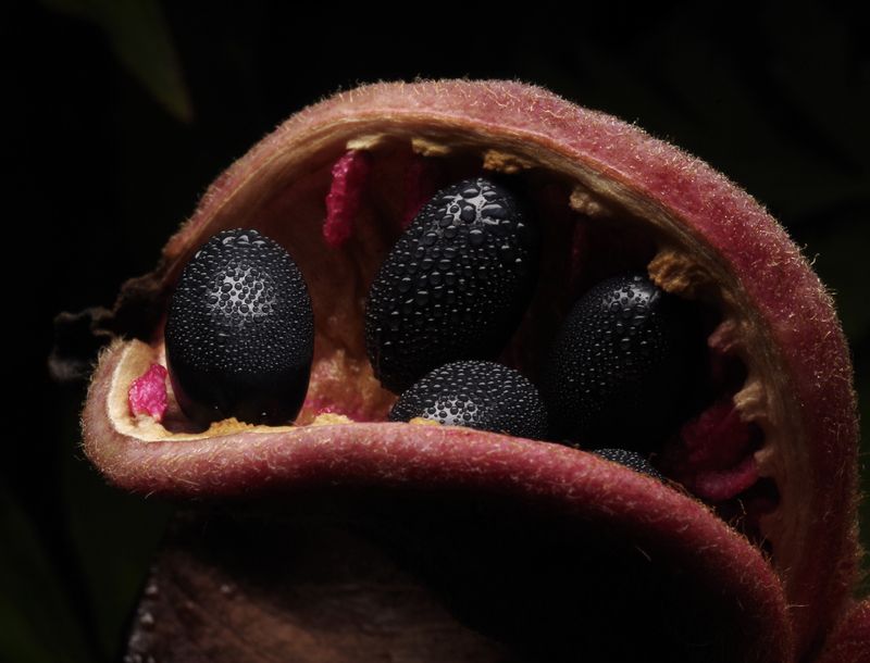 Улыбка фото превью