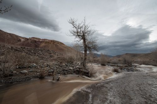 Весна на Алтае