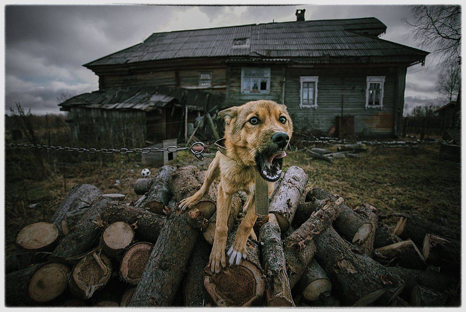 , Олег Дунаев