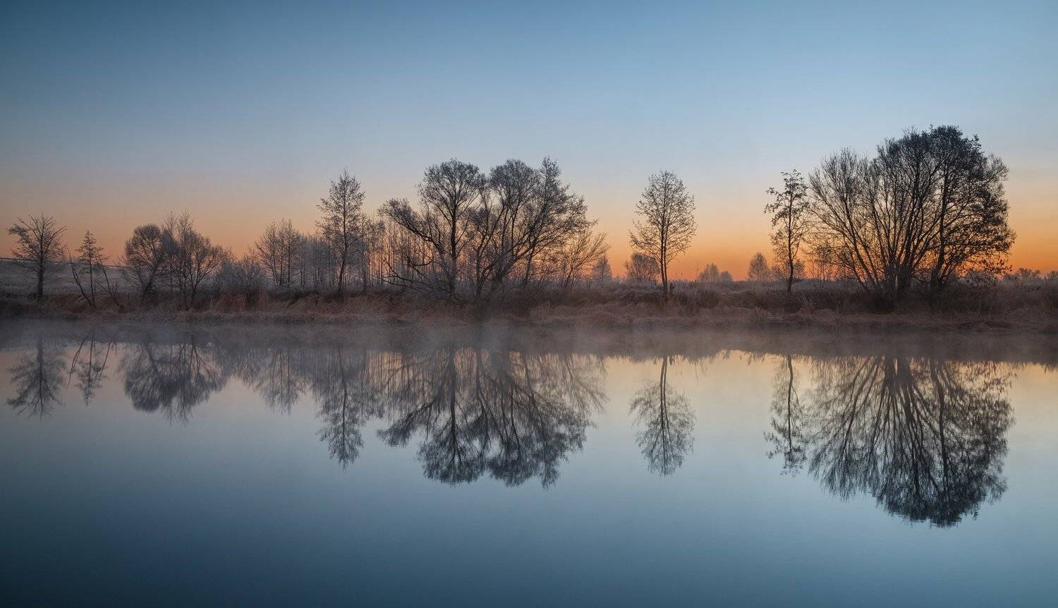 , Александр Бредихин