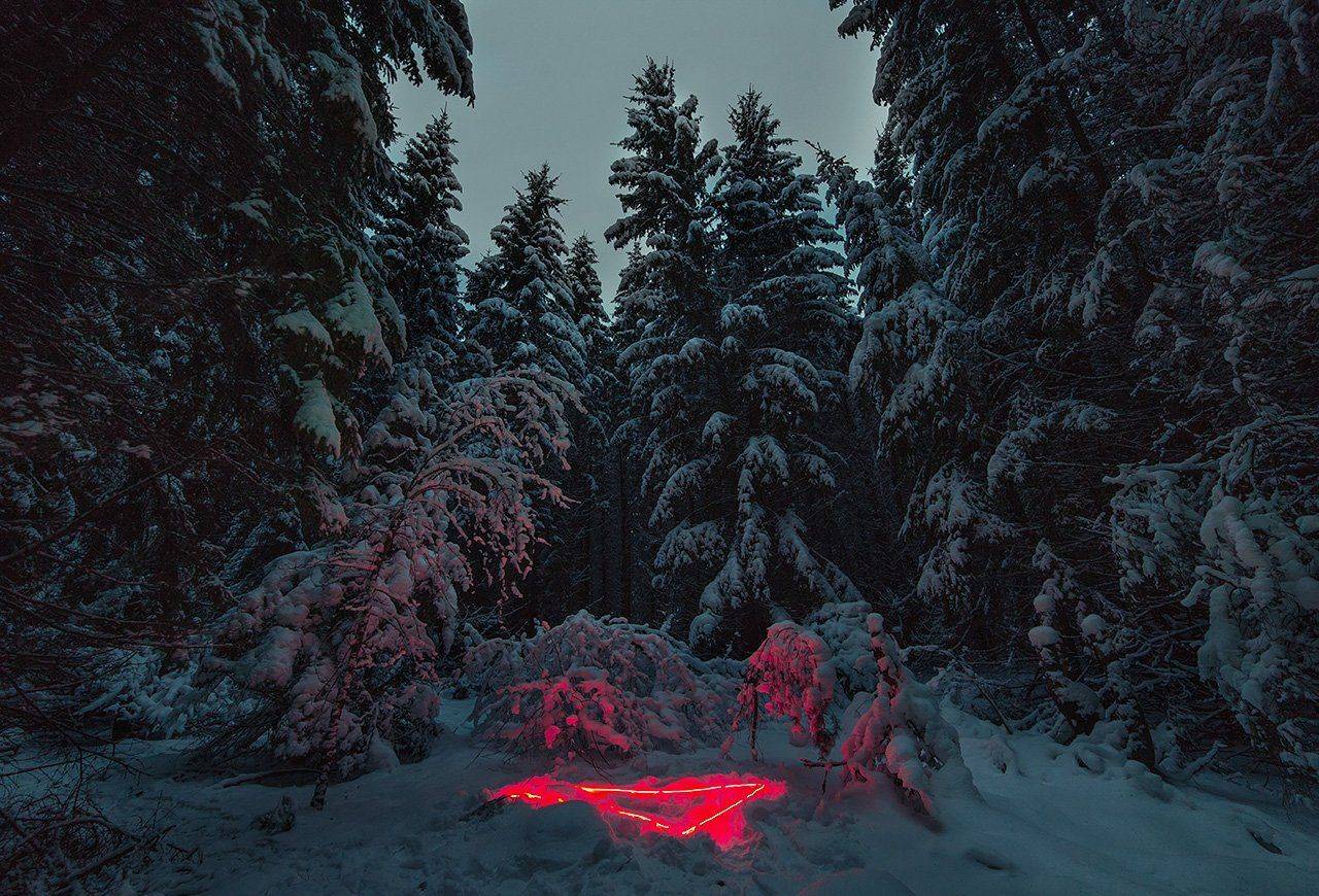 сумерки, длинная выдержка, свет, лес, снег, зима, Артемий Тузов