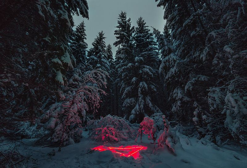 сумерки, длинная выдержка, свет, лес, снег, зима Сумерки в молчаливом лесу фото превью