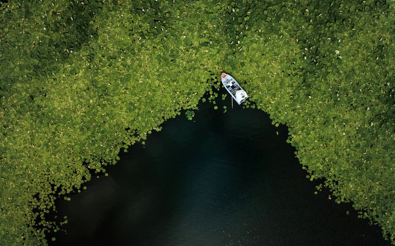 И пусть весь мир подождет!) фото превью