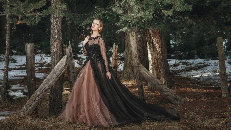 Сосновое танго фото превью