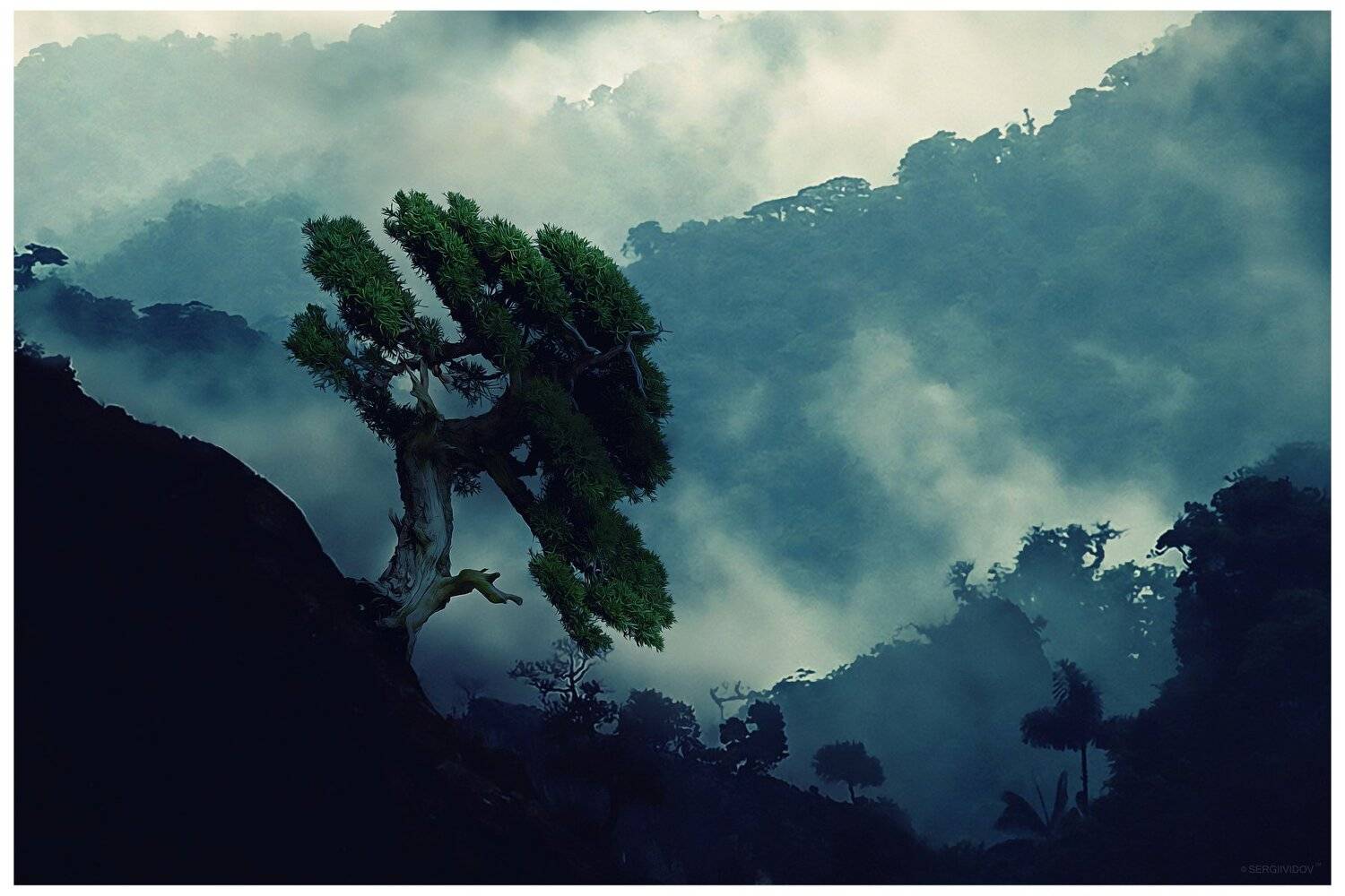 горы, туман, дерево, Sergii Vidov