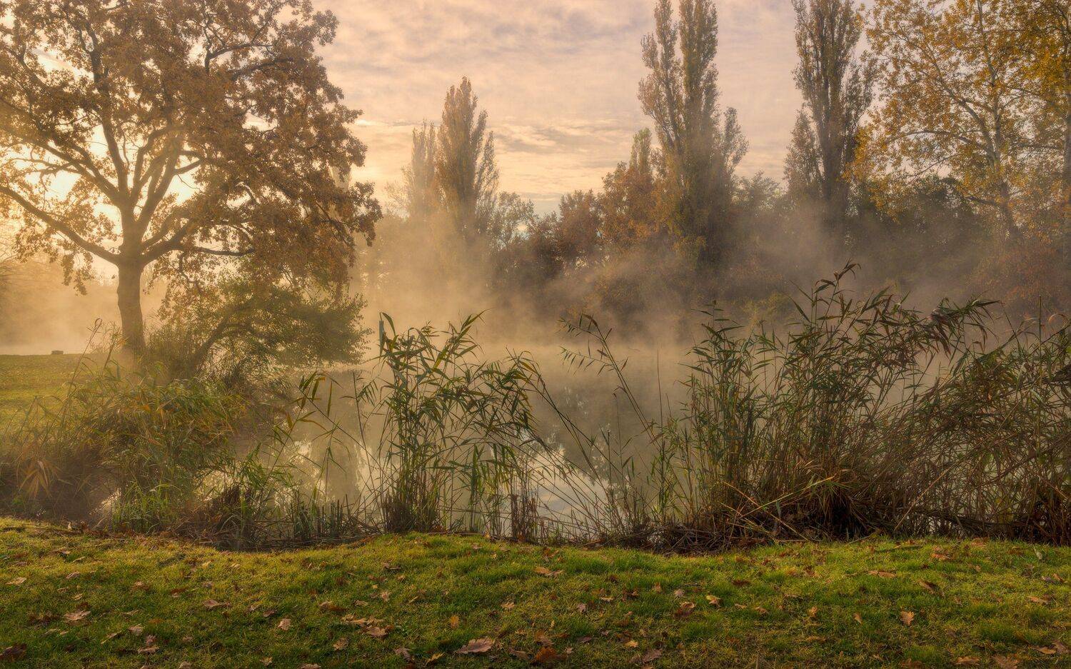 , Alexander Plekhanov