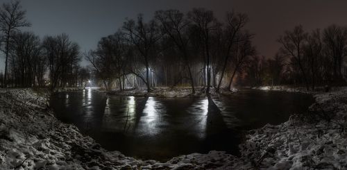 Ночь в Баташевском саду
