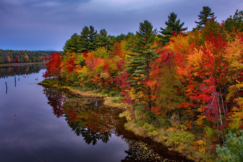Fall Foliage фото превью
