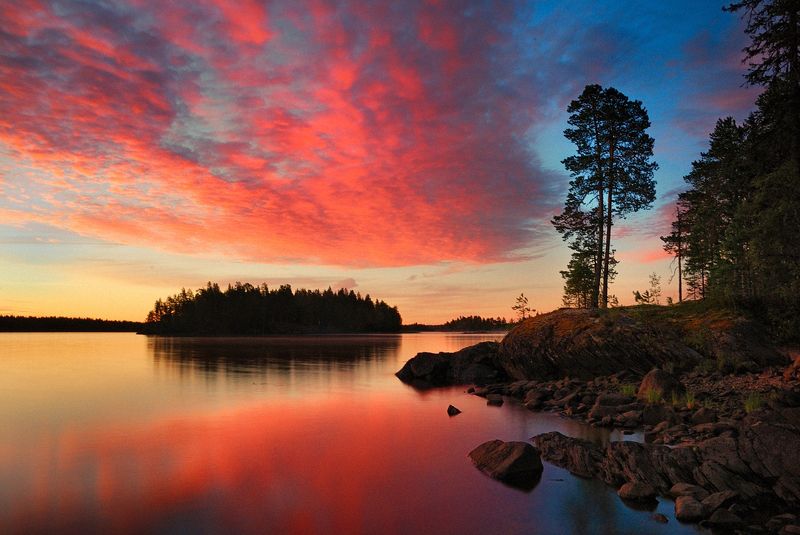 карелия, охта, воронье, закат, озеро, сосны Белые ночи на озере Вороньем фото превью