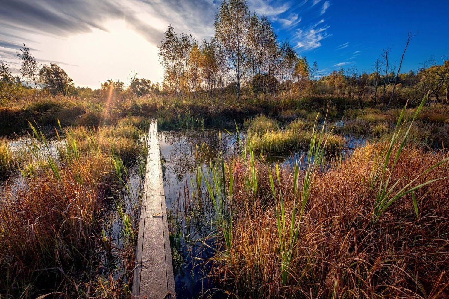 пейзаж, река, истра, мостик, деревья, осень, краски, цвета, солнце, панорама, Андрей Чиж
