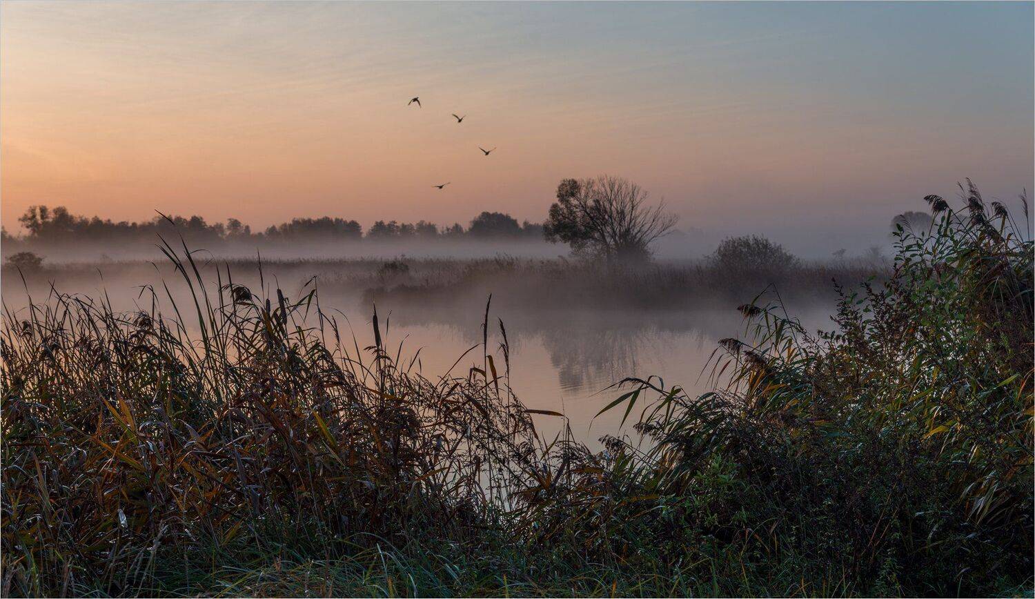 , Николай Шахманцир