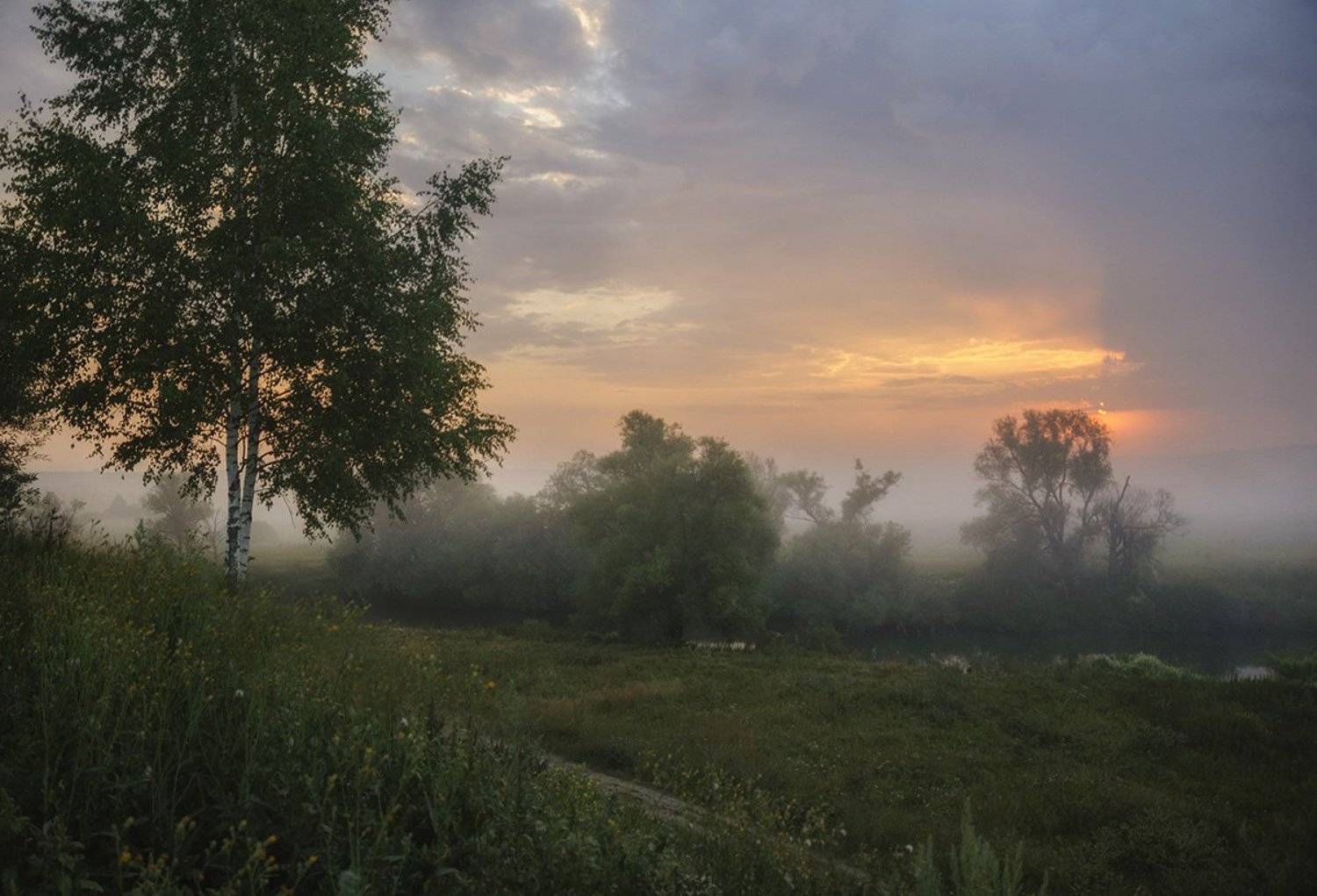 , Анатолий Зверев