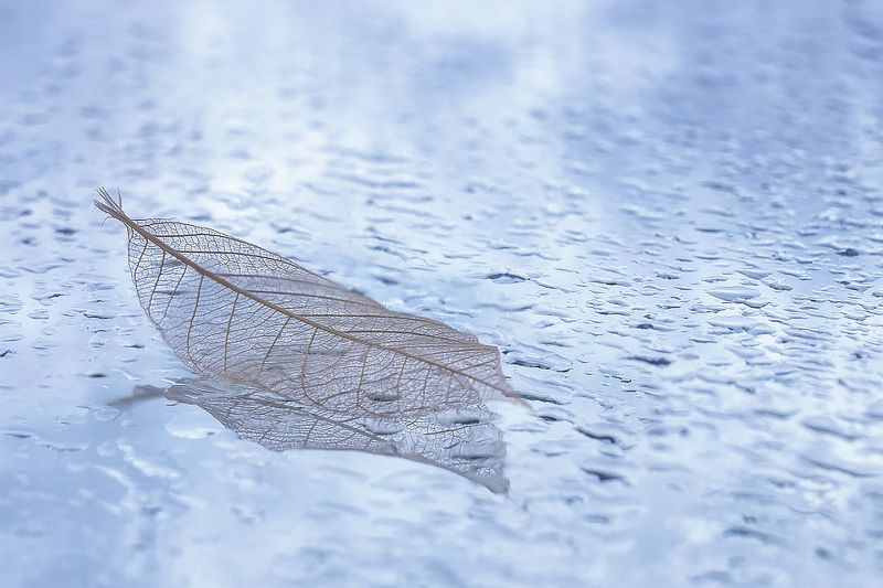 Зима на подходе фото превью