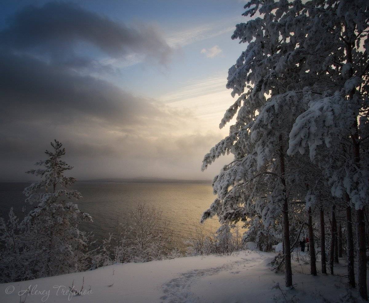 , Алексей Трофимов