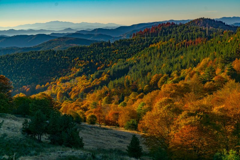 sony a 6000 Родопа планина фото превью