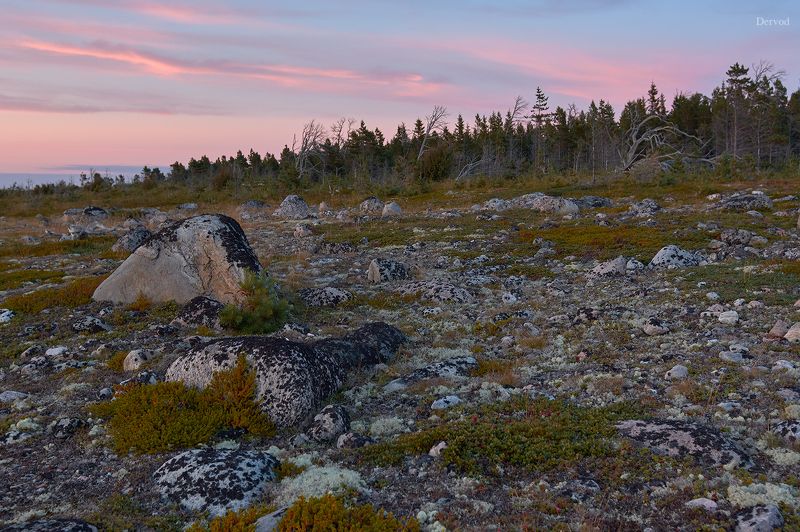 #dervod Большой Соловецкий остров. фото превью