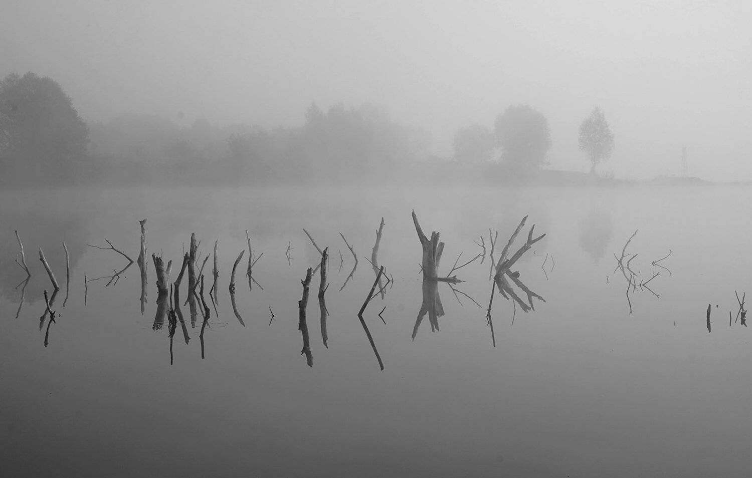 , Красимир Георгиев