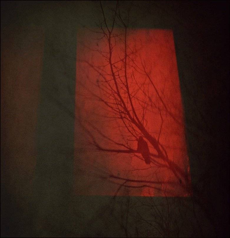 , Krzysztof Trojanowski