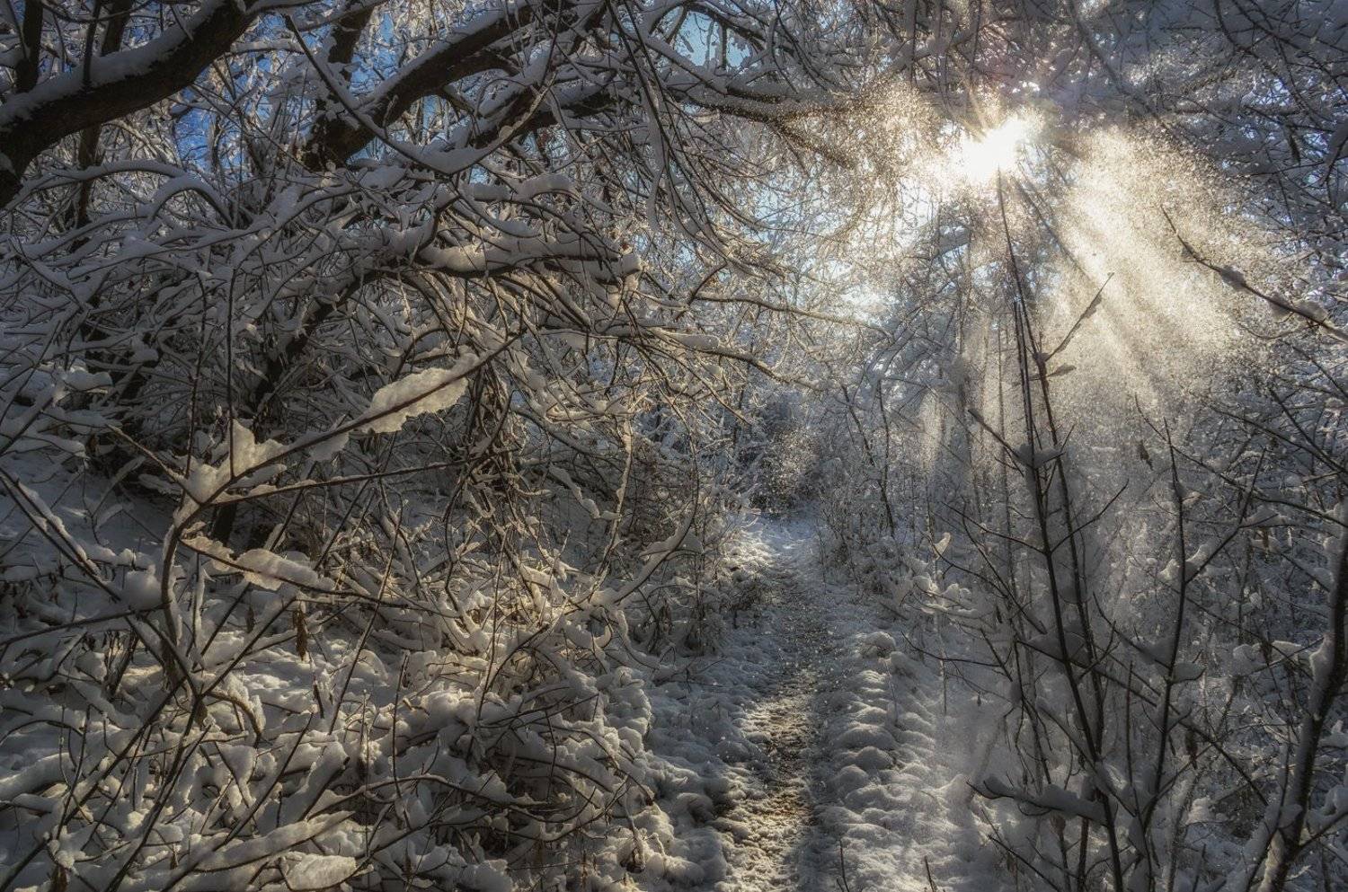 , Игорь Мелекесцев