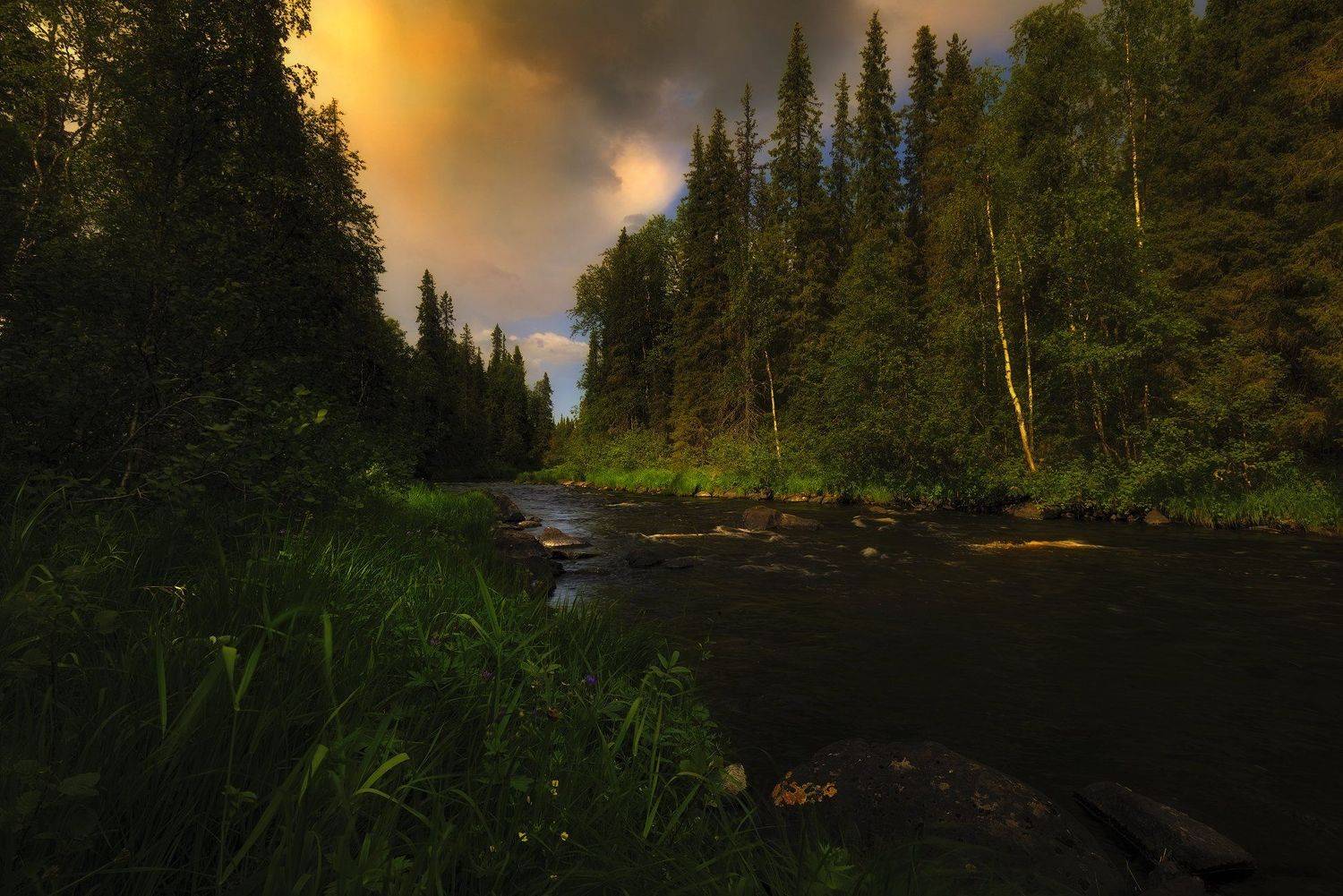 река Пила, Терский берег, Кольский полуостров, умба, Анастасия Малых