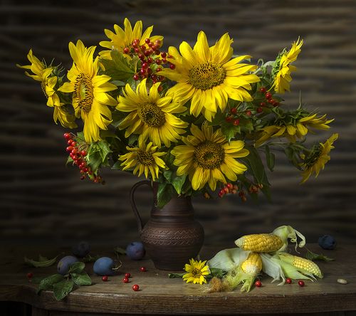 Подсолнухи с кукурузой.