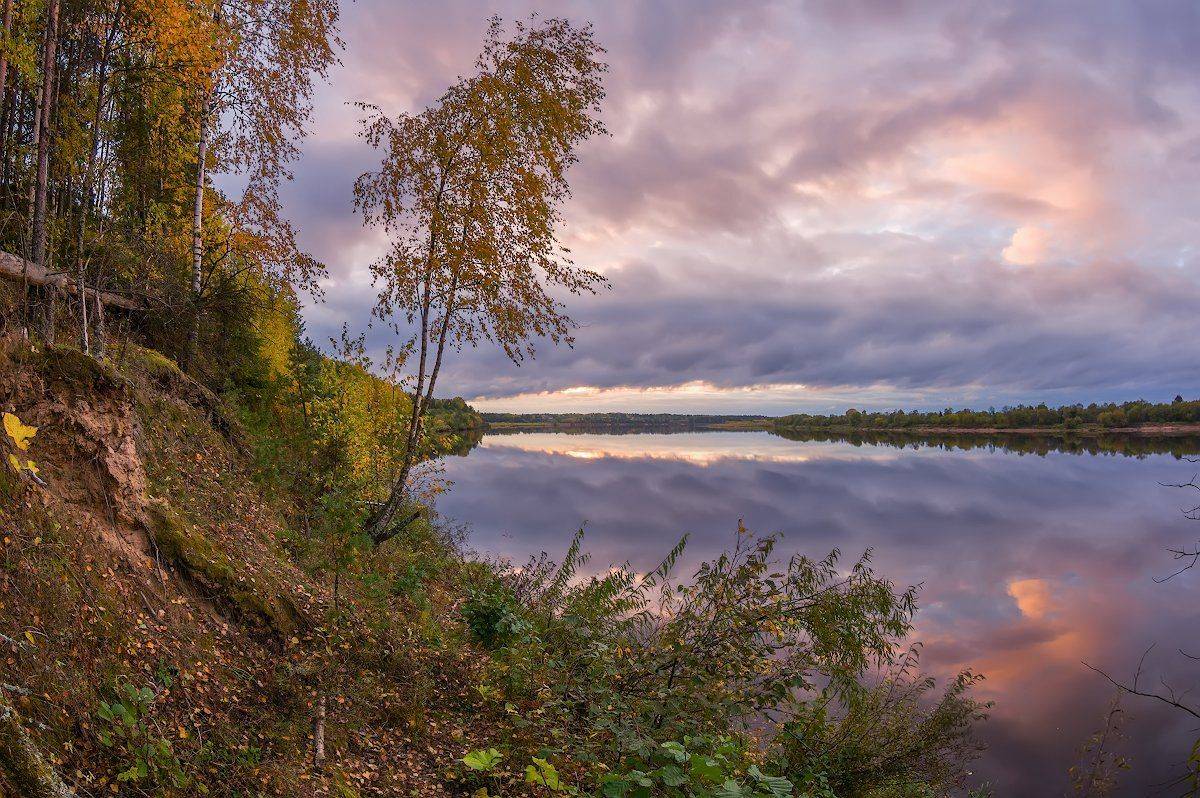 река осень березы вечер, Марина Мурашова