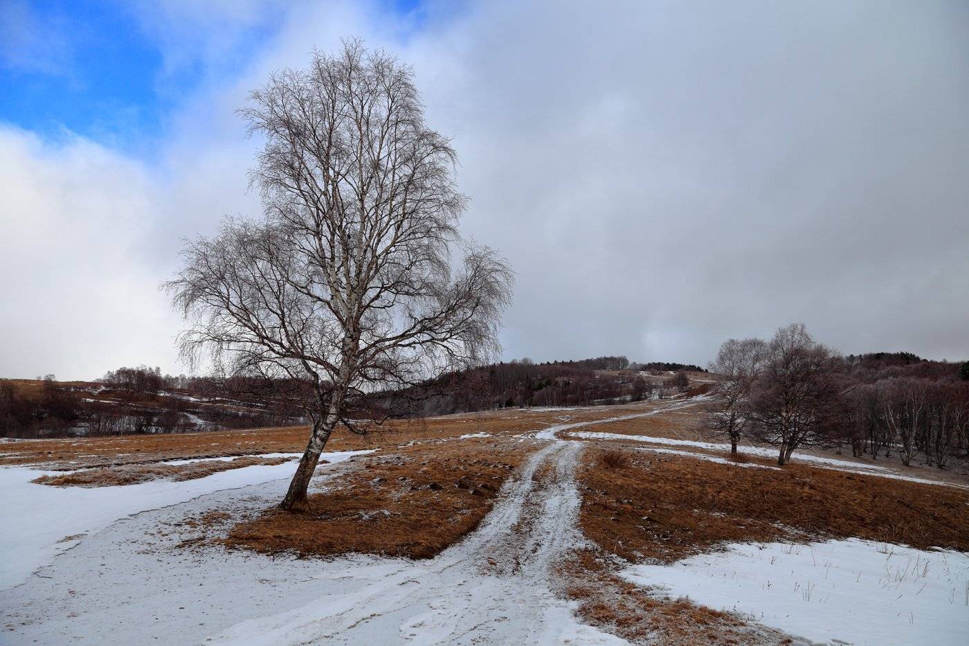 малые, бамбаки, Евгений Карпенко