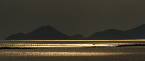 影子_Ray