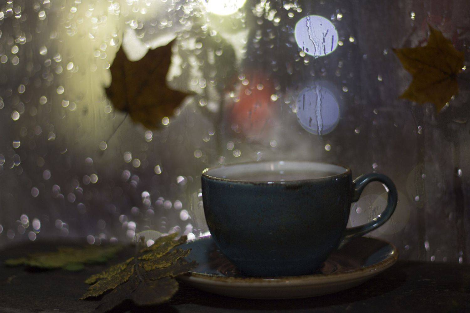 , Наталья Бочкарева