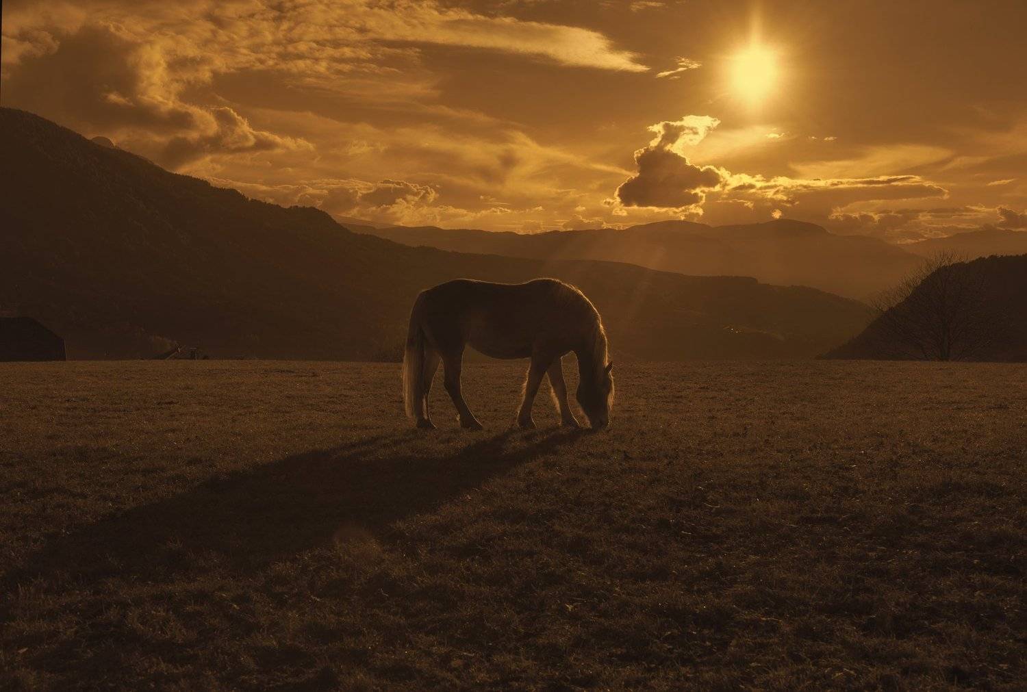 , Михаил Калинин