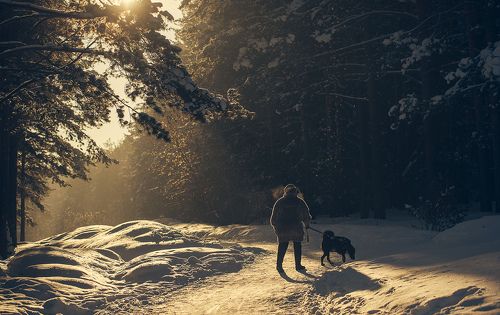 На прогулке