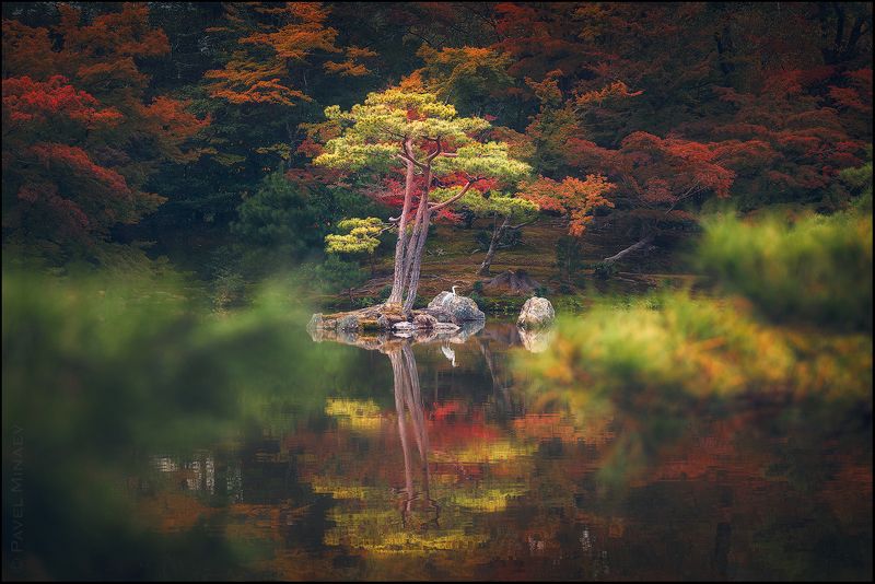 Осень в Киото фото превью