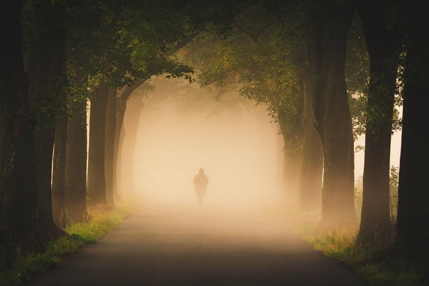 landscape,canon,mist,light,autumn, Iza,Darek