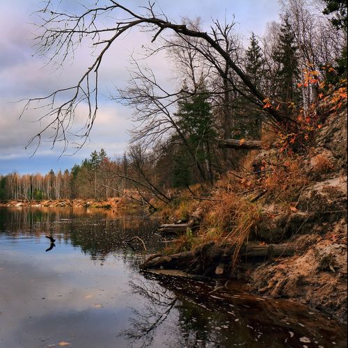 Наедине с Ноябрем