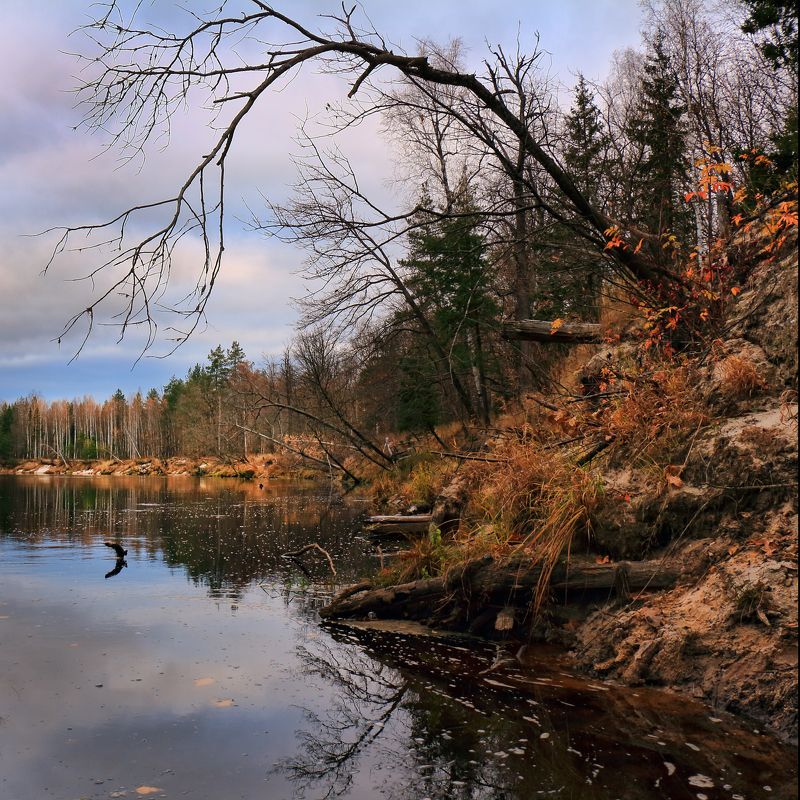 ноябрь,река,керженец,осень Наедине с Ноябрем фото превью