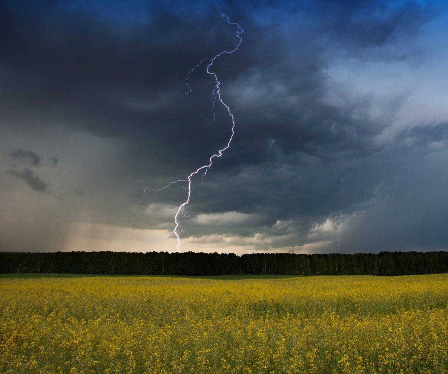 , Валерий Кондратов