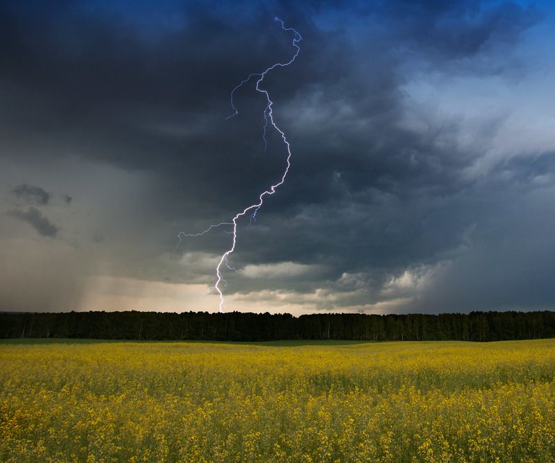 *** фото превью