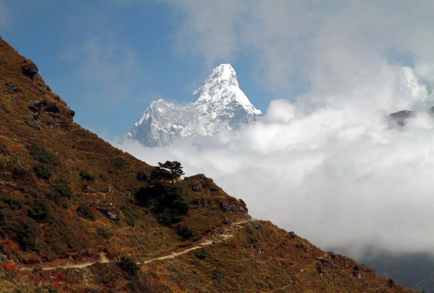 Непал, Гималаи, Ама Даблам., Ekaterina Velichko