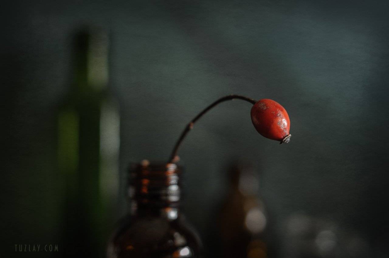 шиповник, боке, бутылки, Владимир Тузлай