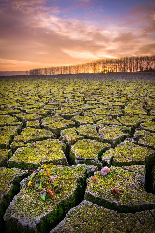 Landscape Photography by Maya V фото превью