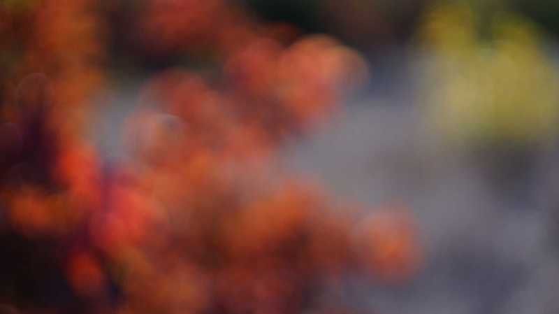 ОСЕНЬ фото превью